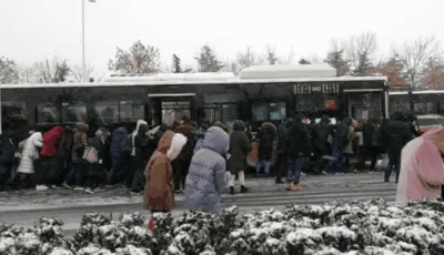 青岛上班路上这一幕，火遍全网