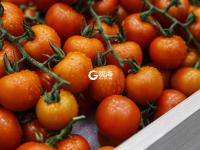 预计年产值约120亿元 这个“客厅”要火