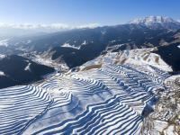 甘肃天祝：雪落梯田景色美