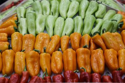 预计年产值约120亿元 这个“客厅”要火