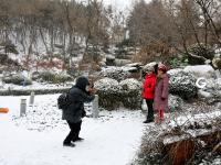 年终的这场雪 是送给青岛最美的礼物