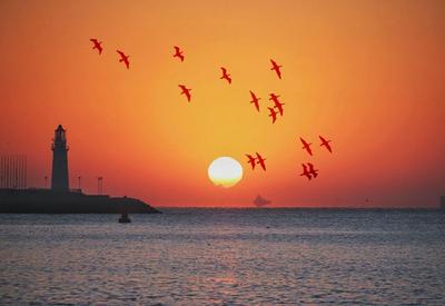 看一眼最后一天的日出日落，告别2020！