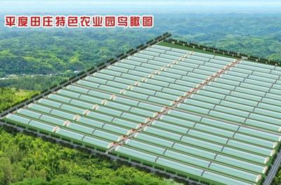 平度探索“园中园”发展模式，助力青岛北部崛起