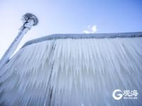 冻透了！胶州湾沿岸成“魔幻世界”