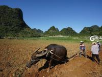 不平凡的2020⑧：用相机见证“第一”