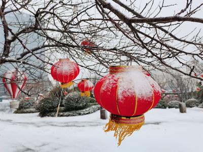 雪落渔船连成片 别有一番景象