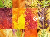 不平凡的2020⑭：让想象力再飞一会