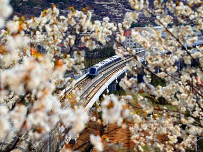 不平凡的2020⑩：定格城市角落