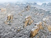 不平凡的2020⑮：用影像回望城市成长