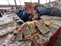 寒冬中，蔬菜“藏”在棉被毛毯下面卖