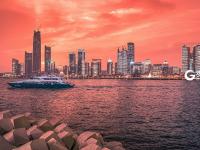 不平凡的2020⑫：瞰见城市重新绽放