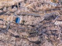 不平凡的2020⑨：记录城市的“生长印记”