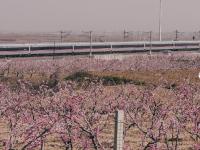 不平凡的2020⑫：瞰见城市重新绽放