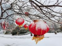 雪落渔船连成片 别有一番景象