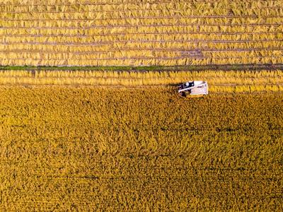 丰收竞技场 农民乐开花——11月镜赛