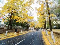 不平凡的2020⑮：用影像回望城市成长