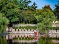 不平凡的2020⑨：记录城市的“生长印记”