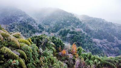 冬至未到，江西抚州的山里就出现了一片冰晶