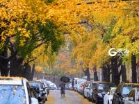 不平凡的2020⑩：定格城市角落