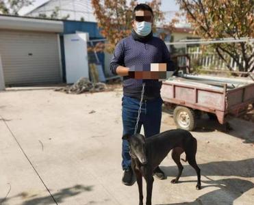非法捕猎？抓！10名男子当场被抓现行