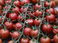 预计年产值约120亿元 这个“客厅”要火