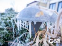 冻透了！胶州湾沿岸成“魔幻世界”