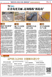 微调查|让青岛更美丽，还须练练“绣花功”