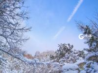 不平凡的2020⑰：记录成长的蝶变