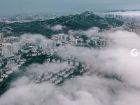 不平凡的2020⑫：瞰见城市重新绽放