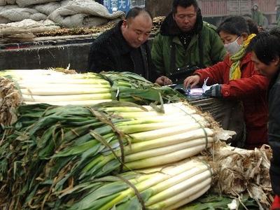 葱价暴涨99.1%！葱姜价格达近几年最高水平，今后走势将如何？
