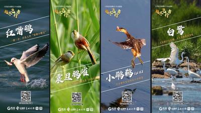 越冬小精灵，集合！青岛野生动物图鉴，你认识哪个？