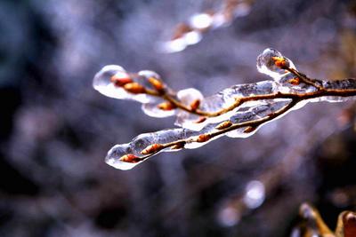 冬至未到，江西抚州的山里就出现了一片冰晶