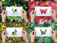 不平凡的2020⑭：让想象力再飞一会