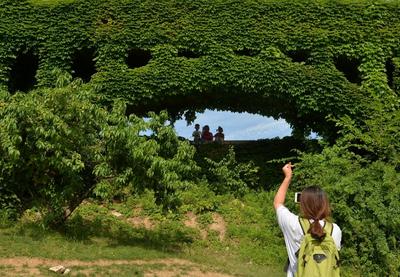 不平凡的2020④：平平淡淡的美好