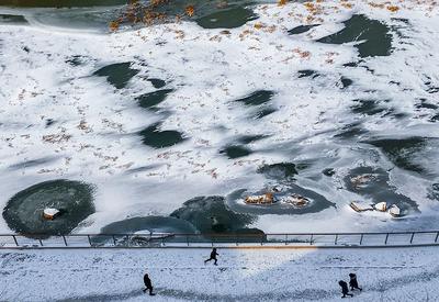 李村河四季画卷：来自大自然的真切告白