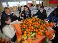 多汁爽口，鲜嫩化渣！万吨奉节脐橙进青岛