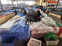 寒冬中，蔬菜“藏”在棉被毛毯下面卖