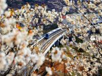 不平凡的2020⑩：定格城市角落