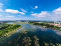 不平凡的2020⑨：记录城市的“生长印记”