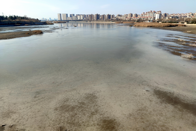 冬韵尽显，白沙河开启“冰封”模式