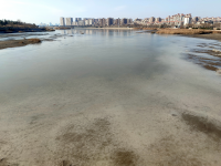 冬韵尽显，白沙河开启“冰封”模式