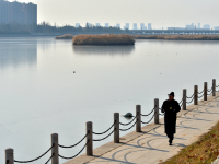 冬韵尽显，白沙河开启“冰封”模式