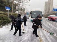 青岛上班路上这一幕，火遍全网