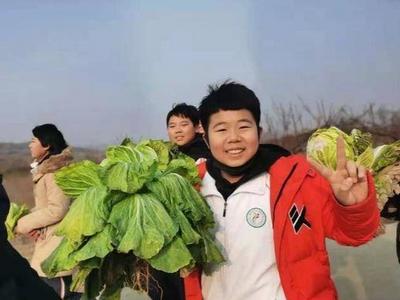 全国样板！看劳动教育的“城阳模式”