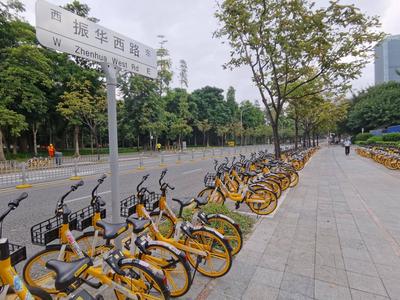 风从鹏城来 | 自行车道将成道路“标配”，深圳立法为自行车“要”路