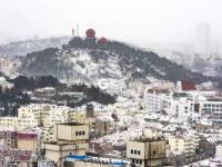 年终的这场雪 是送给青岛最美的礼物