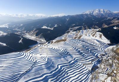 甘肃天祝：雪落梯田景色美