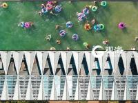 不平凡的2020⑭：让想象力再飞一会