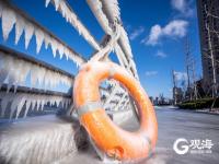 冻透了！胶州湾沿岸成“魔幻世界”