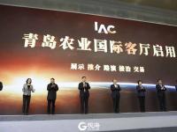 预计年产值约120亿元 这个“客厅”要火